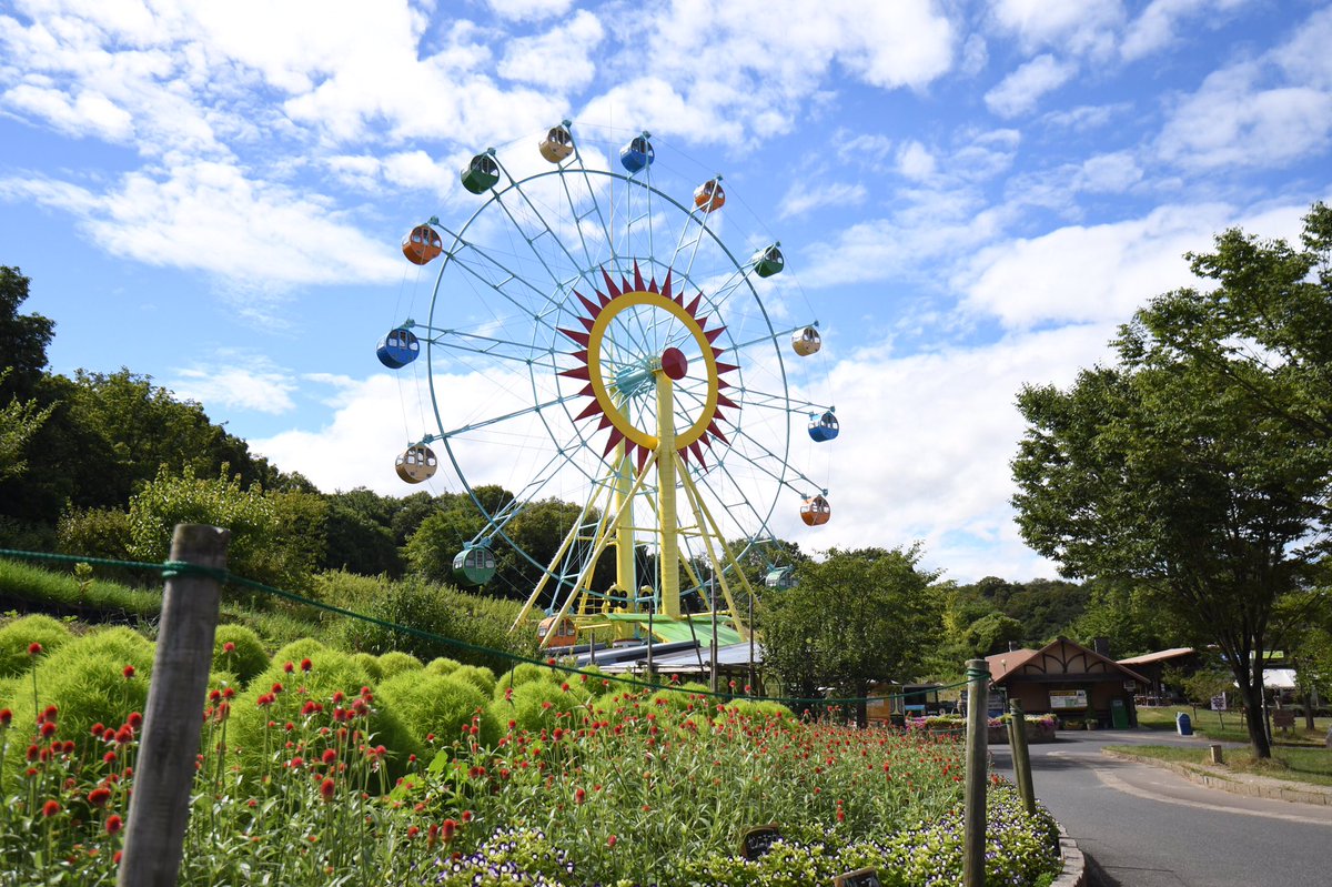 Bob_OGTB's tweet photo. Good morning! Okini! #OsakaBob here♪
More #OsakaExploring at #HarvestHill today♪
Look at their cute Ferris wheel. Kawaii! https://t.co/PMwBZjqv6R