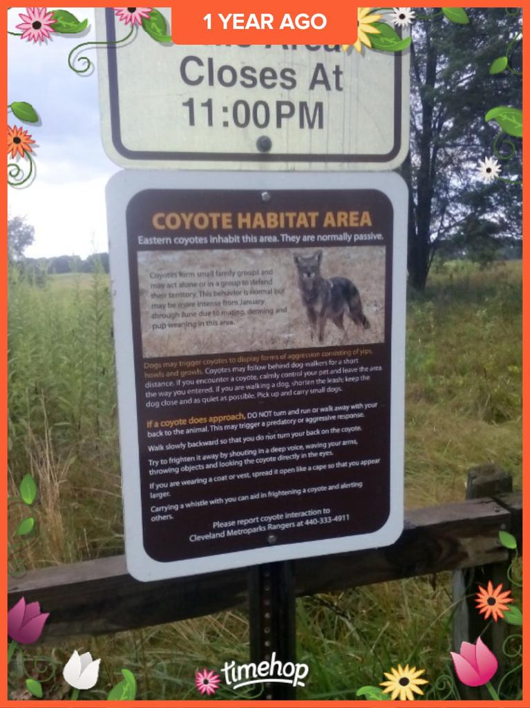 Last year my boyfriend and I stumbled upon a coyote sanctuary 👫👣🌲🐺🌲🐺🌲🐺🎶🌛🕉💠🌠💎♓💚♏#backpackadventures  #adventuresofMK