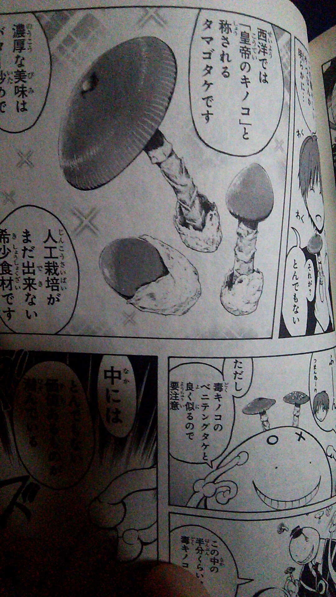 寺岡 茅杜 Taichi139zzz Lljjchoco055 ほい 暗殺教室13巻より わざわざ探したよ W T Co V2imhsnixe Twitter