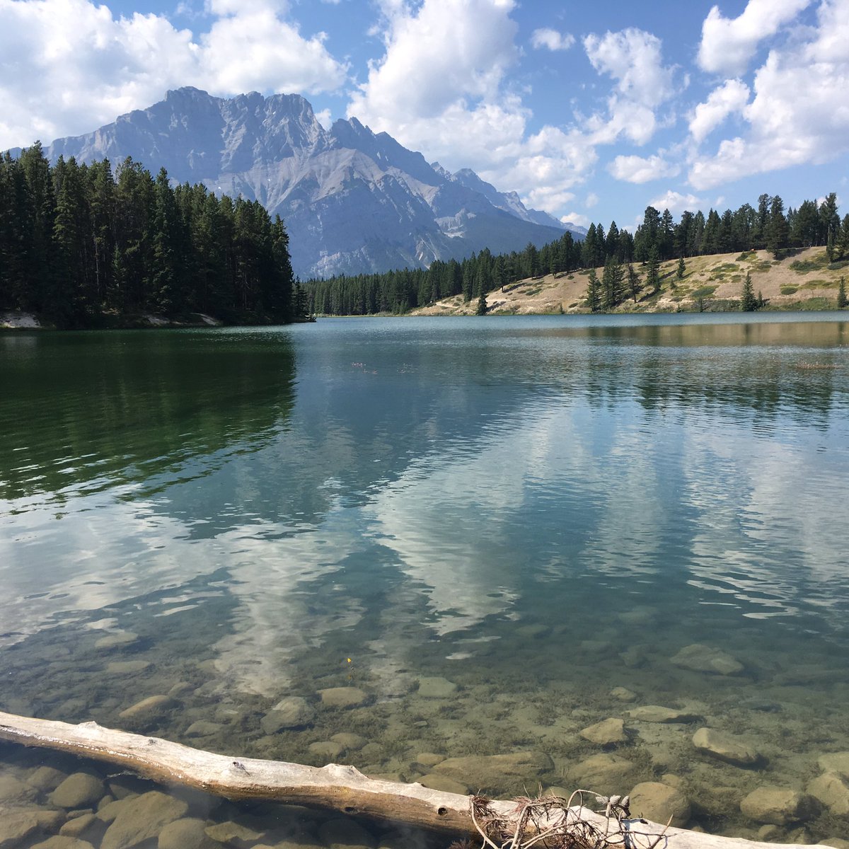 MrMur_ray's tweet photo. Perfect day! #BANNFF https://t.co/7Zhjkdwoe9