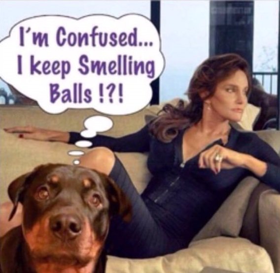 Hawk14000's tweet photo. yes fido.... we all are https://t.co/f7bHaTVXEp