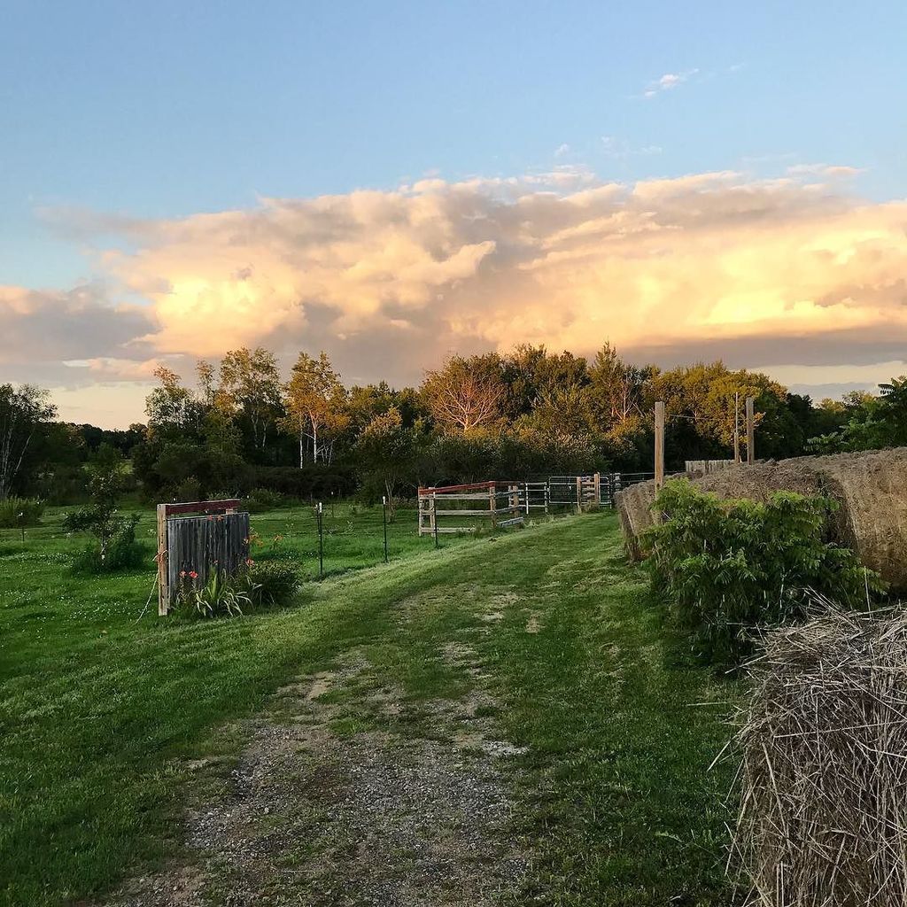 BarthDoesThings's tweet photo. #ranchlyfe https://t.co/1b24w7OJGB https://t.co/HP4hcO41NC