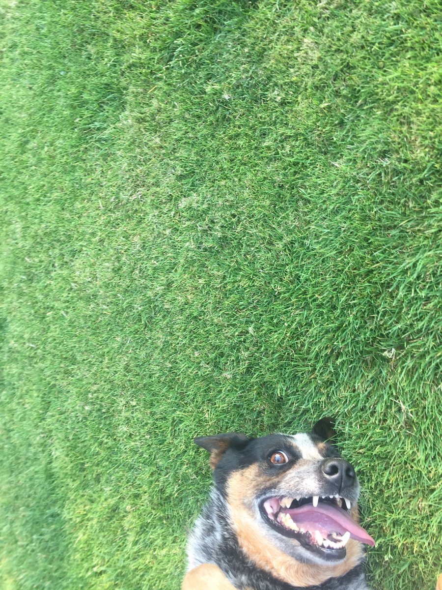 freykinsey's tweet photo. Open for a surprise https://t.co/sOX9YZ16BT