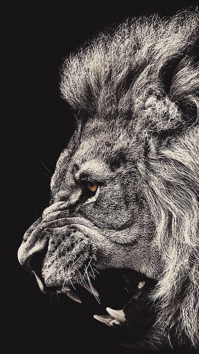 Extremely Proud of the #ATTITUDE and #EFFORT of <a href="/TKAFootball/">TKA Football</a> tonight! #WhosNext