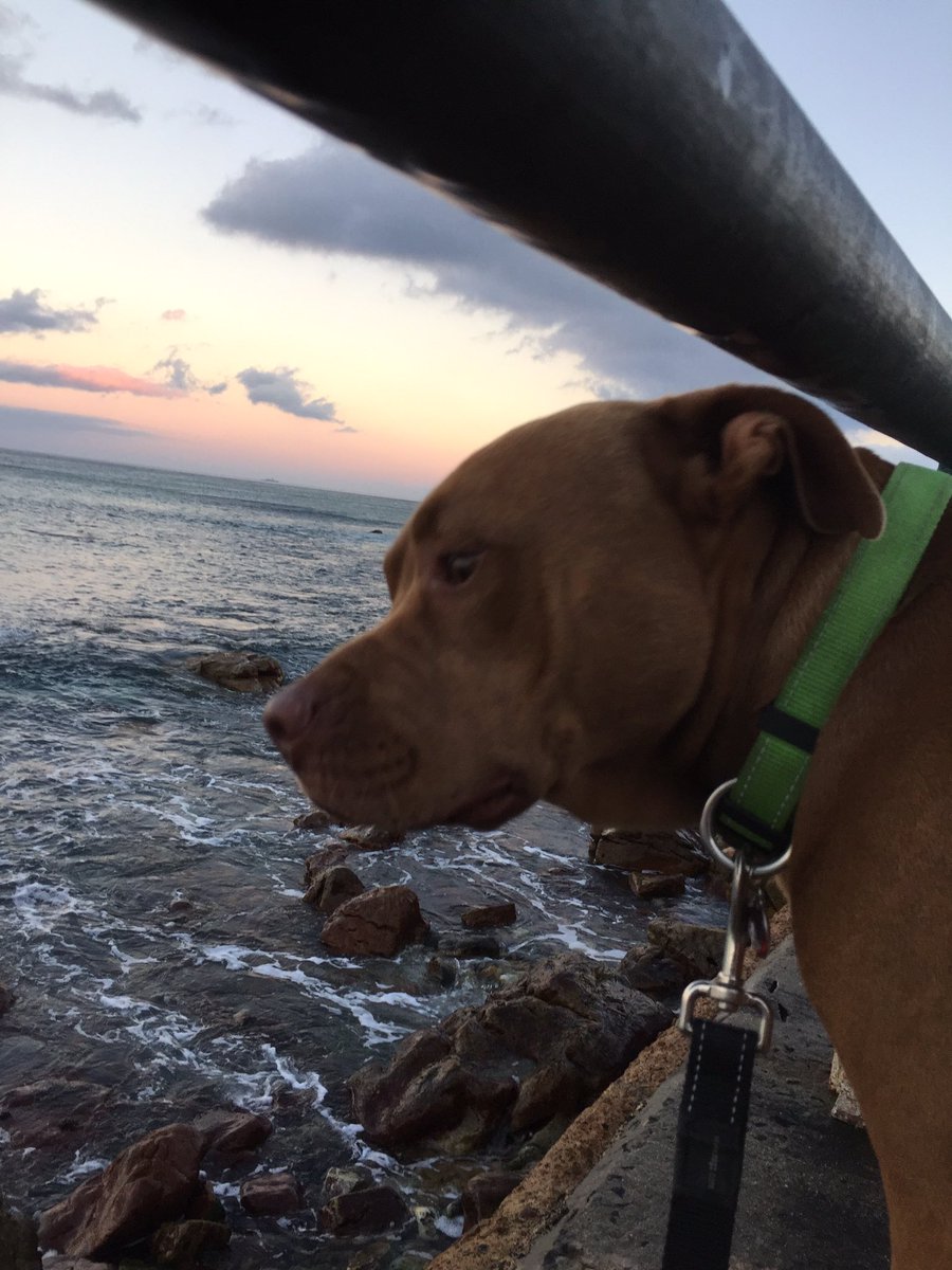 Out for a sunset stroll near <a href="/Muizenburg/">Angeline Ackermann</a>