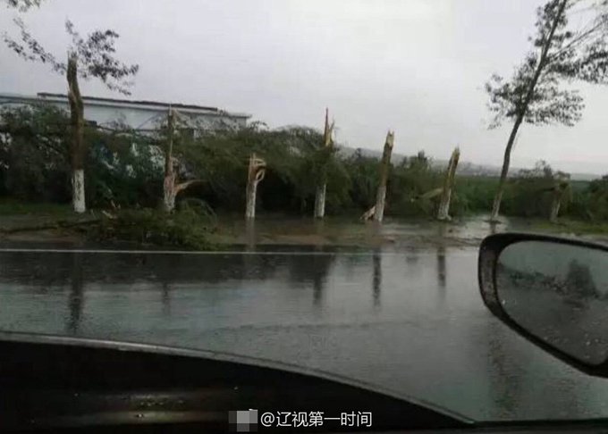 Посмотреть изображение в Твиттере