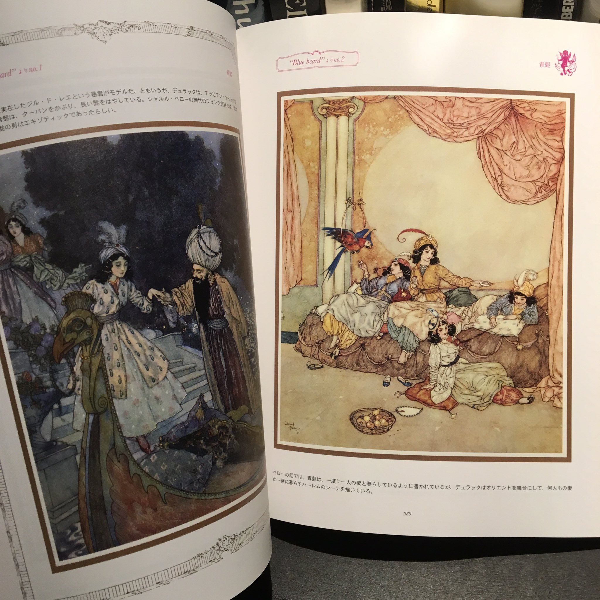 Bookcafe Bar 十誡 Twitterren Bar十誡書籍紹介 世紀初めにフランスの挿絵黄金時代を築いた画家 エドマンド デュラック 確かなデッサン力で描かれる人物の魅力は勿論 洋服やカーテンなど 布の描き方に艶かしい程の拘りが感じられます しっとりと重量感のある