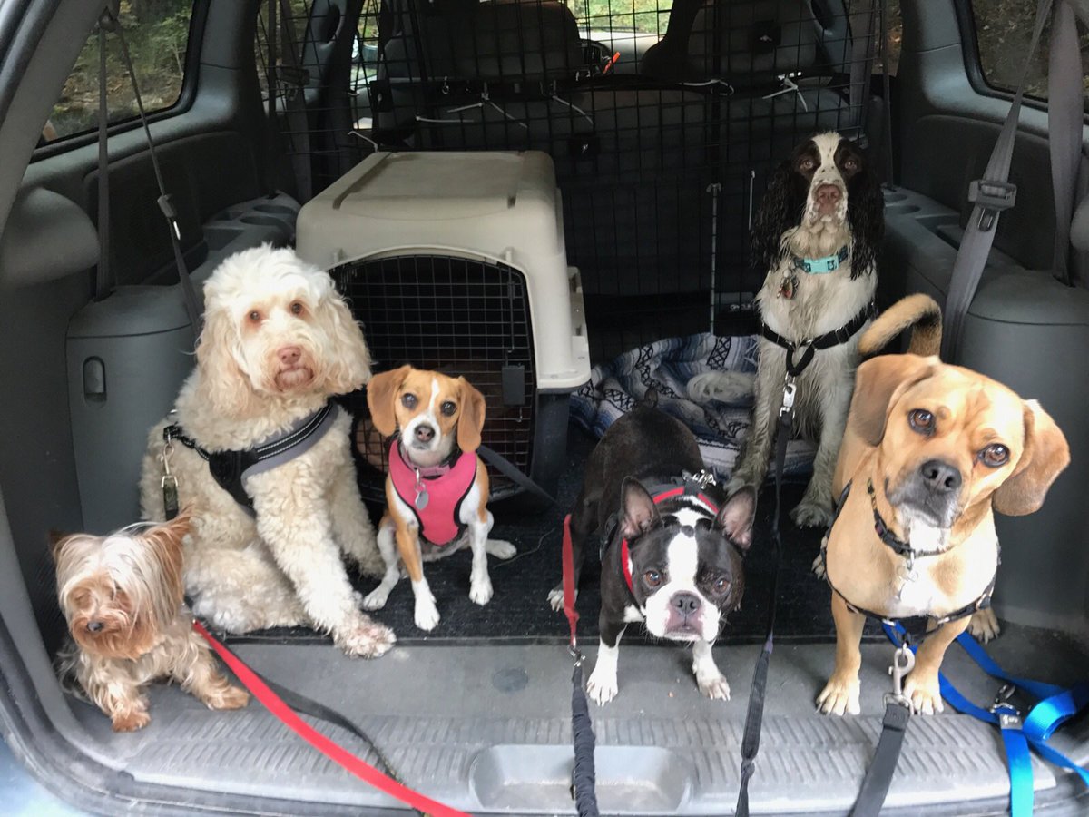 rubythebt's tweet image. Have I mentioned that I've joined a gang? Don't mess with the Inter-River crew.