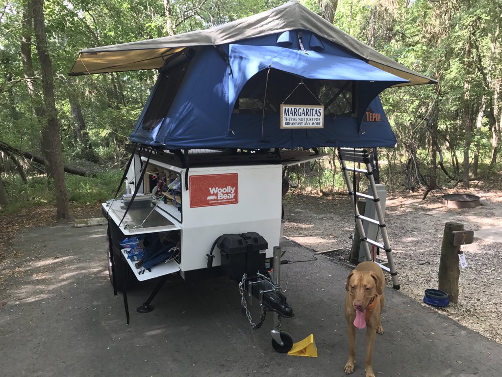 Camp for the weekend at Palmetto State Park in the <a href="/taxaoutdoors/">Taxa Outdoors</a> Woolly Bear