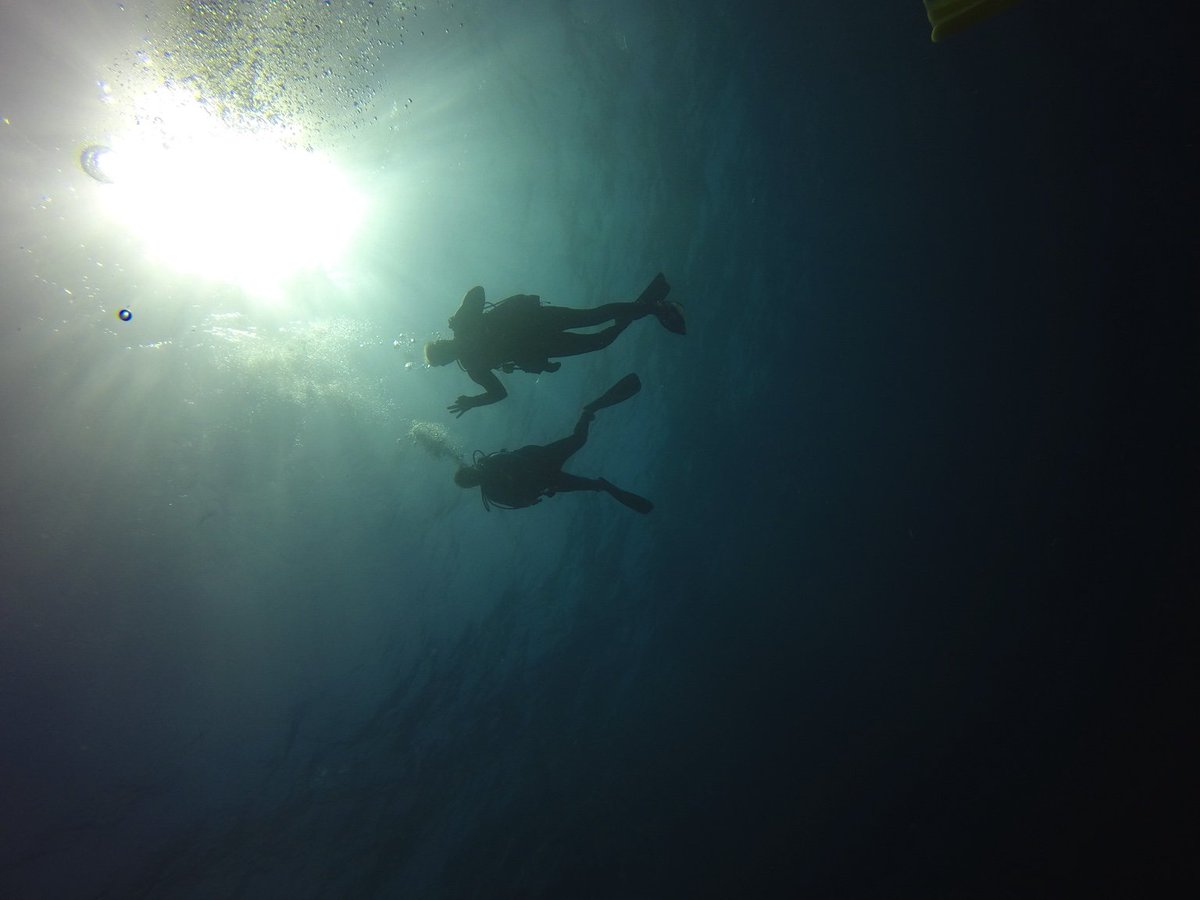 Yes, we are very ok #diving in #SouthCaicos !