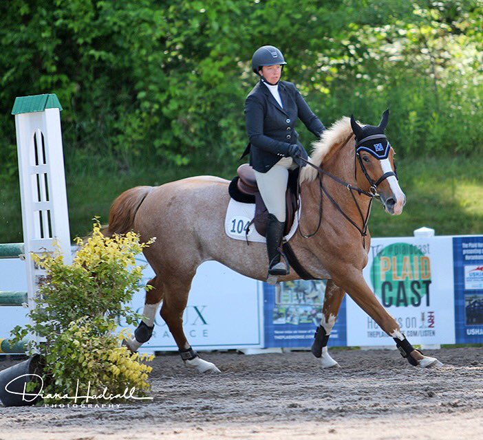 We're galloping into the weekend with Waffle leading the way! Happy Friday 😎 #R4WB