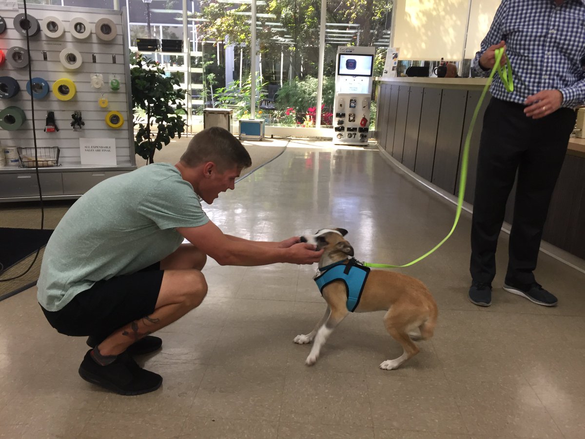 rulebostoncam's tweet photo. RBC Mascot, Zara, is a big hit around here. #RBCmascot #ZaraRules https://t.co/vUhuYqt5YP