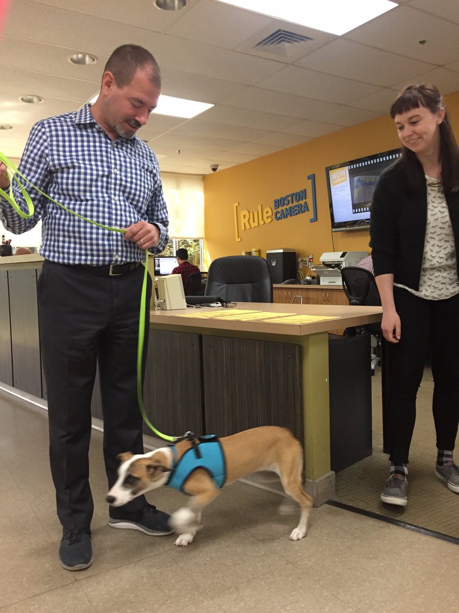rulebostoncam's tweet photo. RBC Mascot, Zara, is a big hit around here. #RBCmascot #ZaraRules https://t.co/vUhuYqt5YP