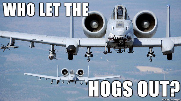 Burt_MO's tweet photo. #FlyingHighFriday

#WhoLetTheHogsOut 
    🇺🇸🐗🇺🇸🐗🇺🇸🐗🇺🇸
W.A.F.B. ??? https://t.co/SO2ffqqYVB