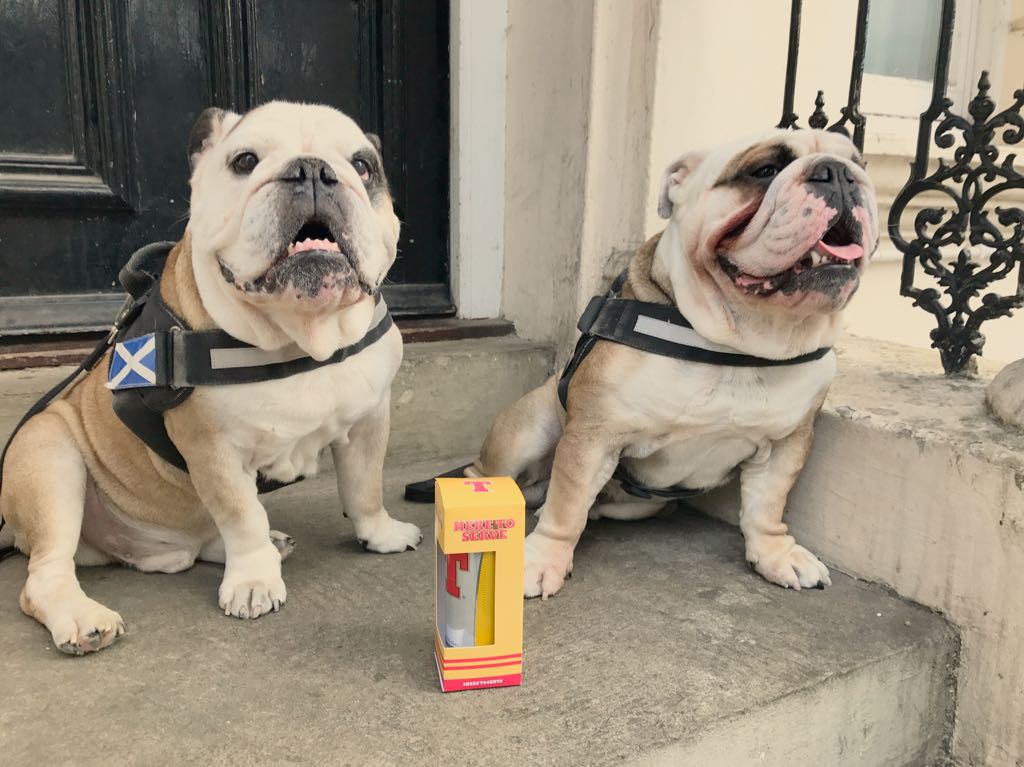 allaboutodie's tweet photo. Who says us Scots &amp; the English don't get on #internationalbeerday @tennentslager 🍻 #bottomsup #brotherhood 🐶🐶 https://t.co/bVbcrvRDlo