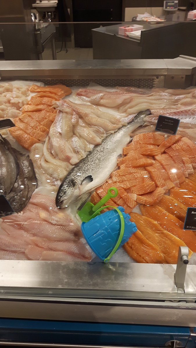markrobinson07's tweet photo. It has finally come to this ..... thanks DFO .... next stop privatized rivers . #lotsoffish #mismanagement #farmfish #awesomedecision https://t.co/lhF71fmsIm