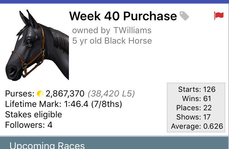 realtwilliams's tweet photo. @AndPacing @Gingras3 @durnbergeracing @AceMulhall @PLR123_  anyone have any interest in another legend? Taking offers https://t.co/G7rPssorRY