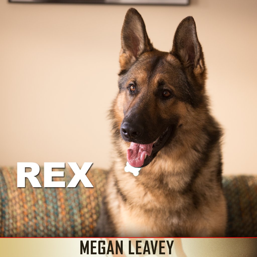MeganLeavey's tweet photo. Meet Rex #MeganLeavey

https://t.co/GhltX6fsQB
ON DIGITAL 8/22 
ON BLU-RAY 9/5 https://t.co/544QiSwxDF
