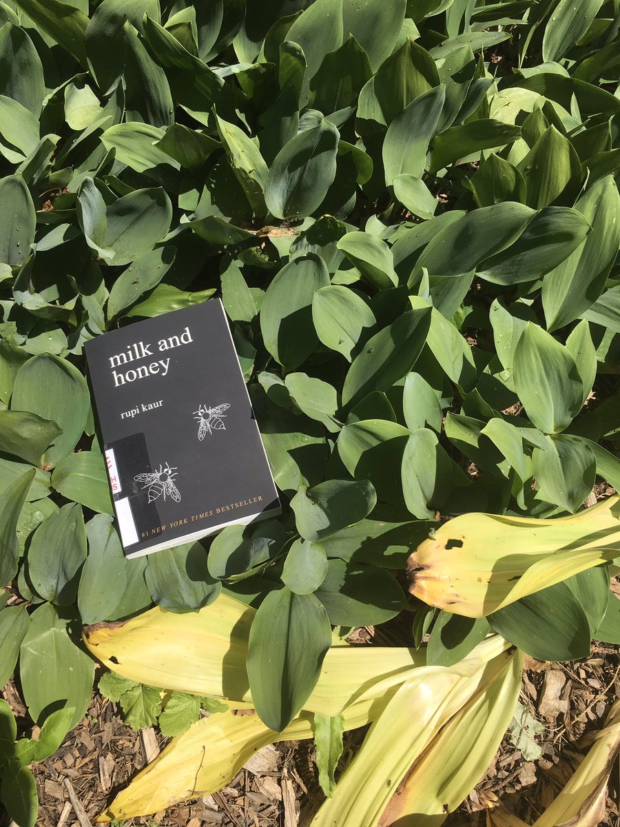 uglibrary's tweet photo. Some great #SummerReads from our #GryphReads collection for the #longweekend. ☀️📚 https://t.co/ozCjzY5p5b