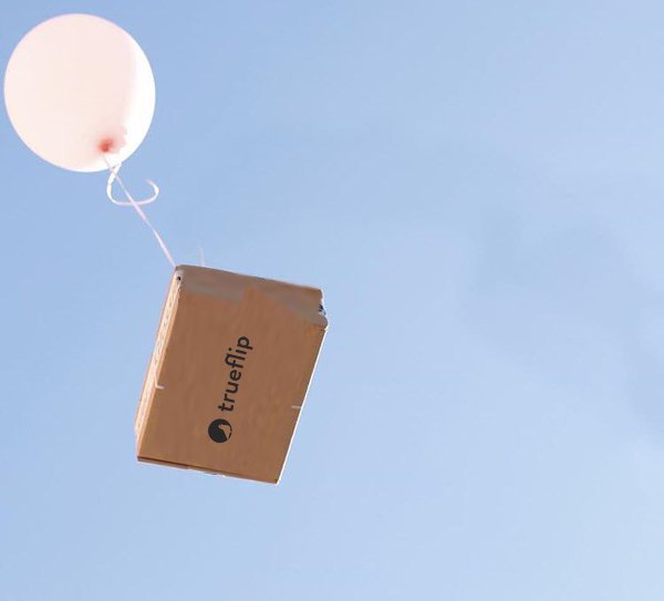 TrueFlipApp's tweet image. A TrueFlip deal is one pigeon 🐦 drop away!