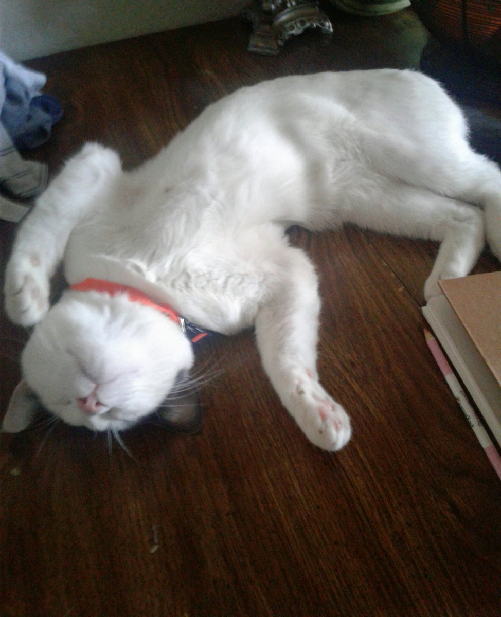 Datgrumpycancer's tweet image. // sleep-