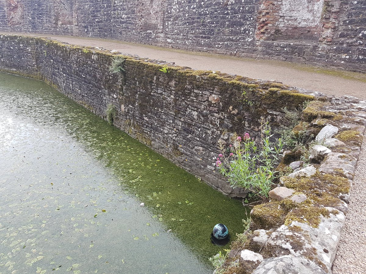 bathcat_'s tweet photo. @Lostfootballs at Raglan Castle..... https://t.co/yhVzOhLucz