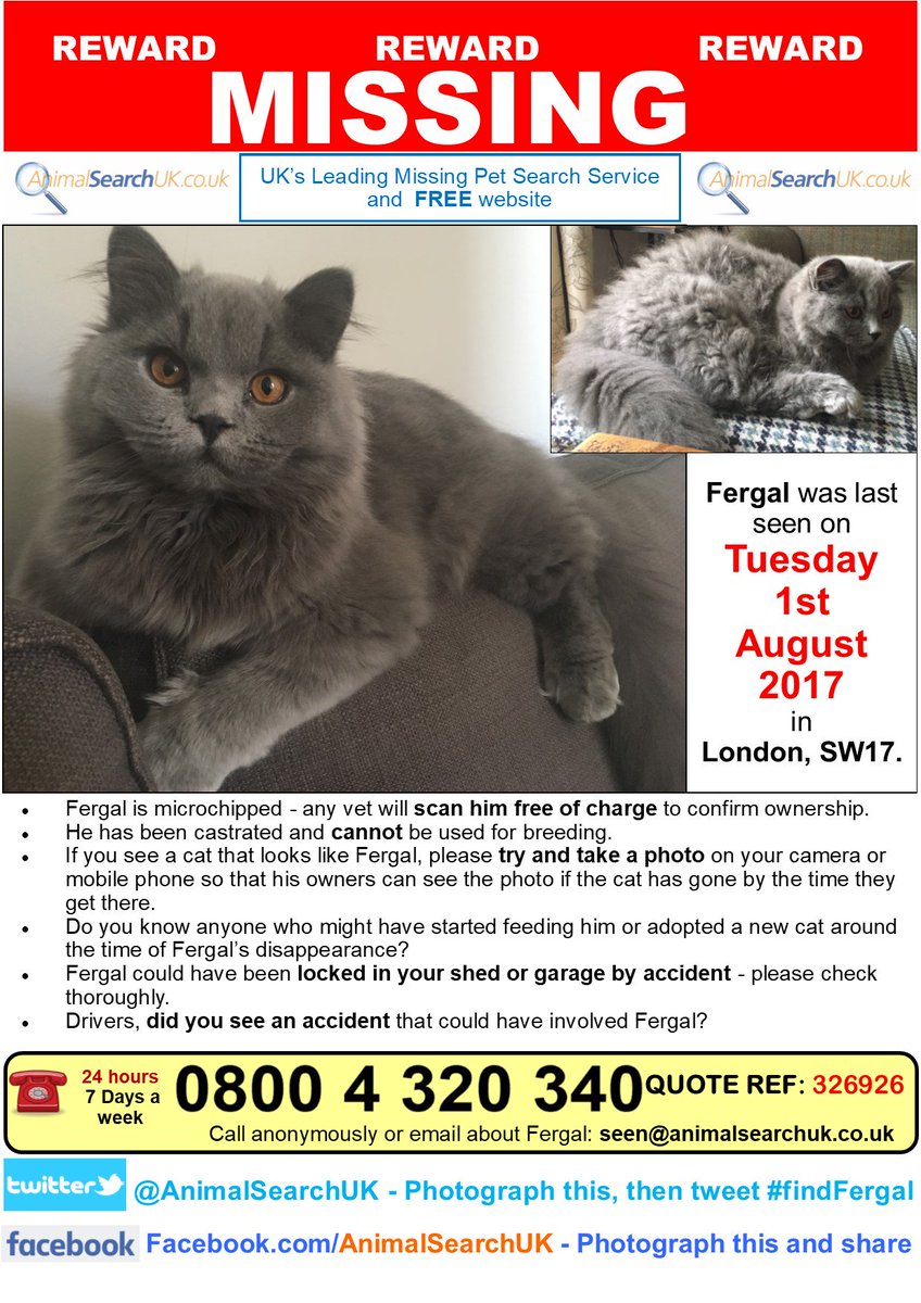 PLZ RT @CentralLondonCP @VetPractitioner @Medivet_UK #missingcat #tooting #london #SW17 #findfergal
animalsearchuk.co.uk/ALP326926