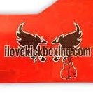 KickboxingI's tweet image. #NewProfilePic