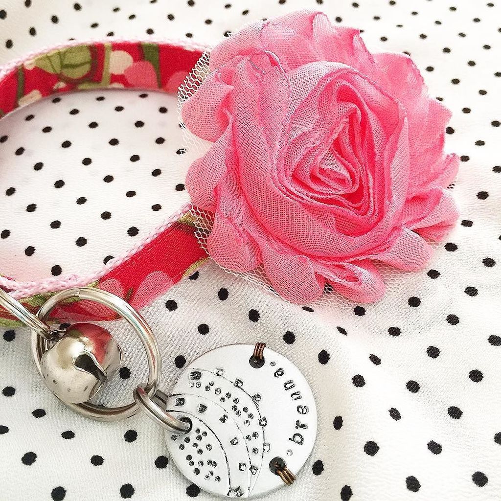 LuckyBrenna's tweet photo. Guess what little girl got a new collar and was a brat about me putting it on her? #pissykitty 🌺#summer #fashion #… https://t.co/ioxqlsCB1H https://t.co/SgTTQ5W6Lw