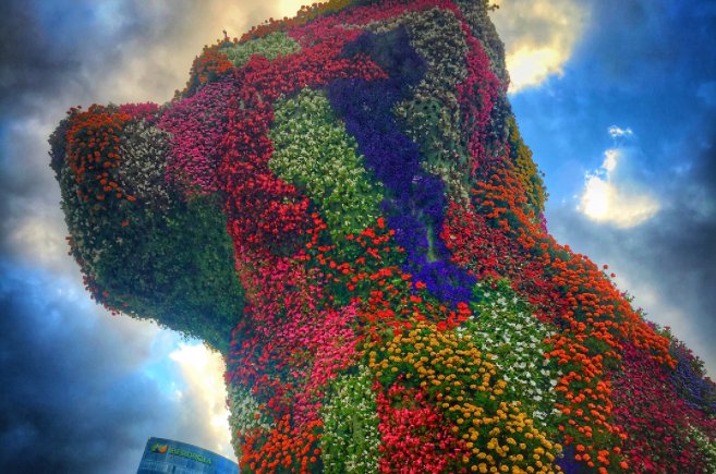 roumena's tweet image. Hunnnngry &amp;amp; thinking about #bilbao #pintxos #basquecountry #paisvasco #onceyougobasqueyounevergoback buff.ly/2ffeRrE