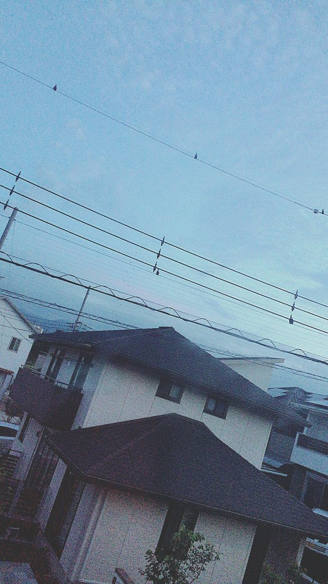 619_ILOVEYOU's tweet photo. いまから寝るんやゎ。ぼけぃ💥🤛
もー朝ってゆーな、明るっ。 https://t.co/F4V3WfT6Ya