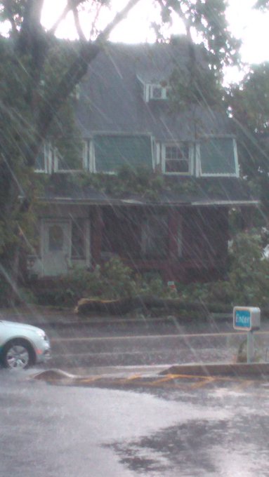 View image on Twitter View image on Twitter