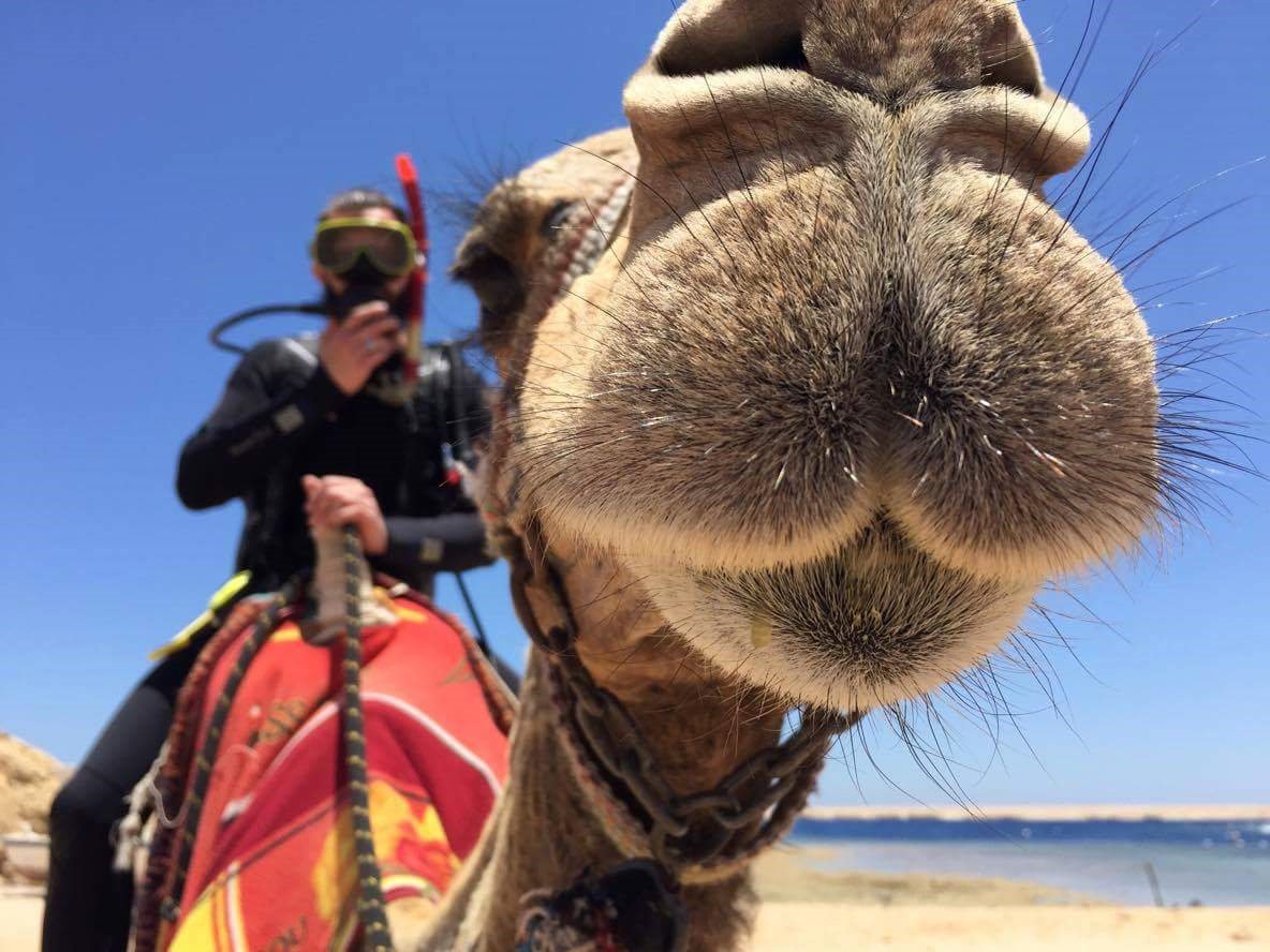 British Beer Company tweet media