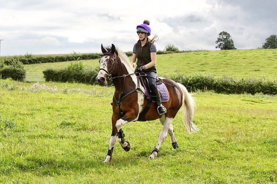 gemeventing's tweet photo. Anybody used cartrophen on thier horses ? Looking into it to help Con with his hocks! #postophelp #arthritis https://t.co/VJJfRC3ZP6