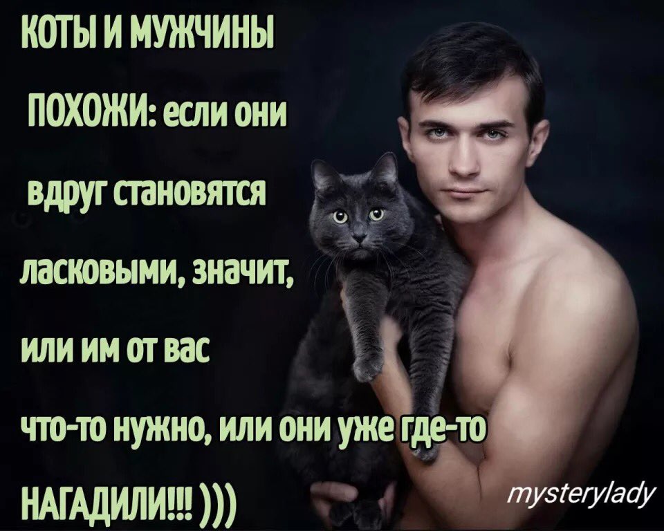 Гороскоп мужчины кота