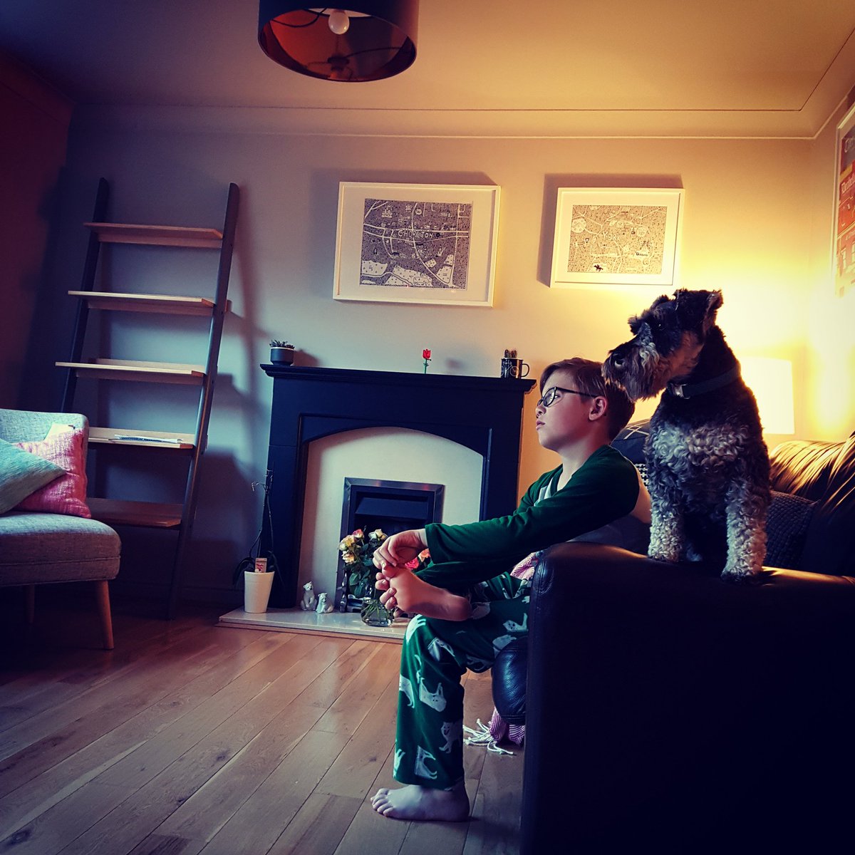HenryHornerDog's tweet photo. Watching the footy. https://t.co/MvVGSDfg8M