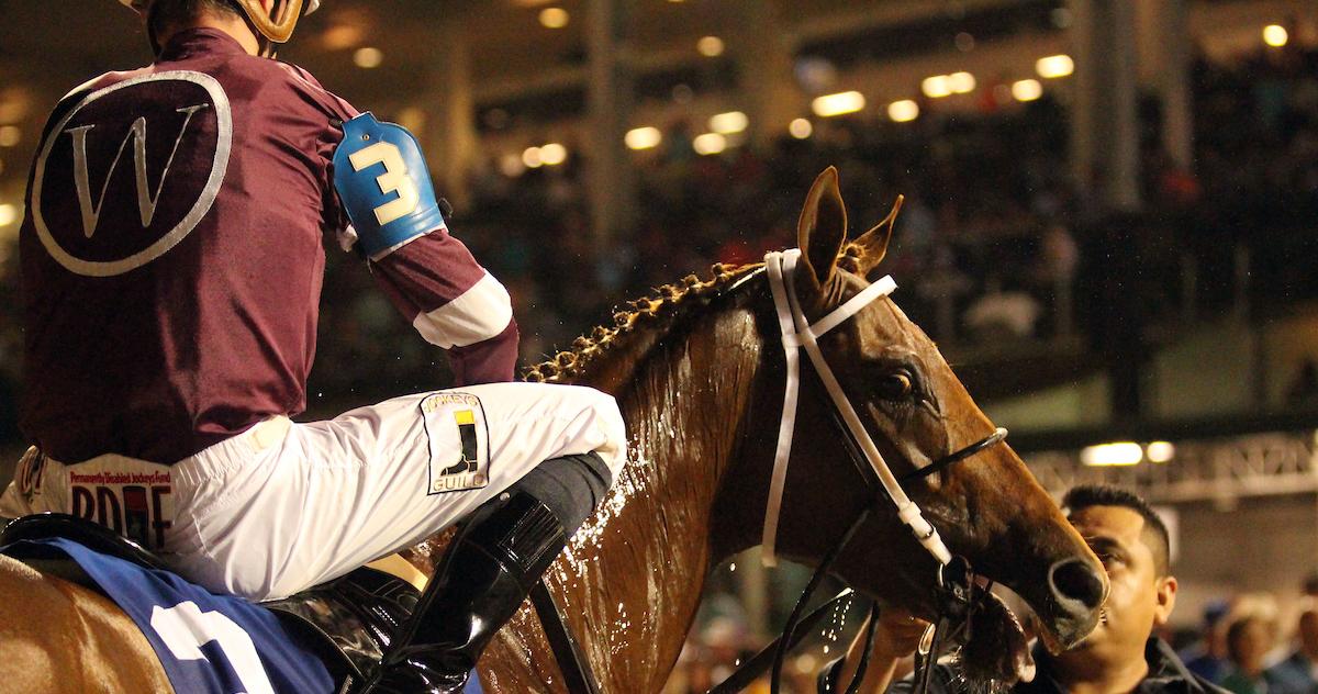 Classic Contender Gun Runner Brings Enormous Expectations to Whitney #BCSweepstakes #WinAndYoureIN - sot.ag/6yrys