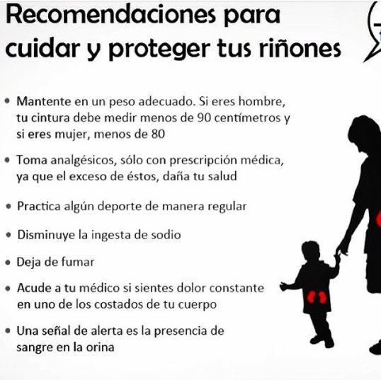 frepapy's tweet photo. Recomendaciones para Cuidar y Proteger a #NuestrosRiñones #FrepaPy https://t.co/hZ4lNxPput