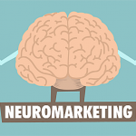 MundoDelSEO's tweet photo. El neuromarketing aplicado, una potente herramienta https://t.co/LbLJRQamKd https://t.co/Z1d2e3cduF