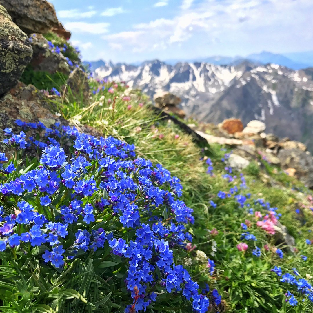 visitmontana's tweet photo. Every view more beautiful than the last. #MontanaMoment | 📷: IG user nelliet11 https://t.co/U5P7kudYiS
