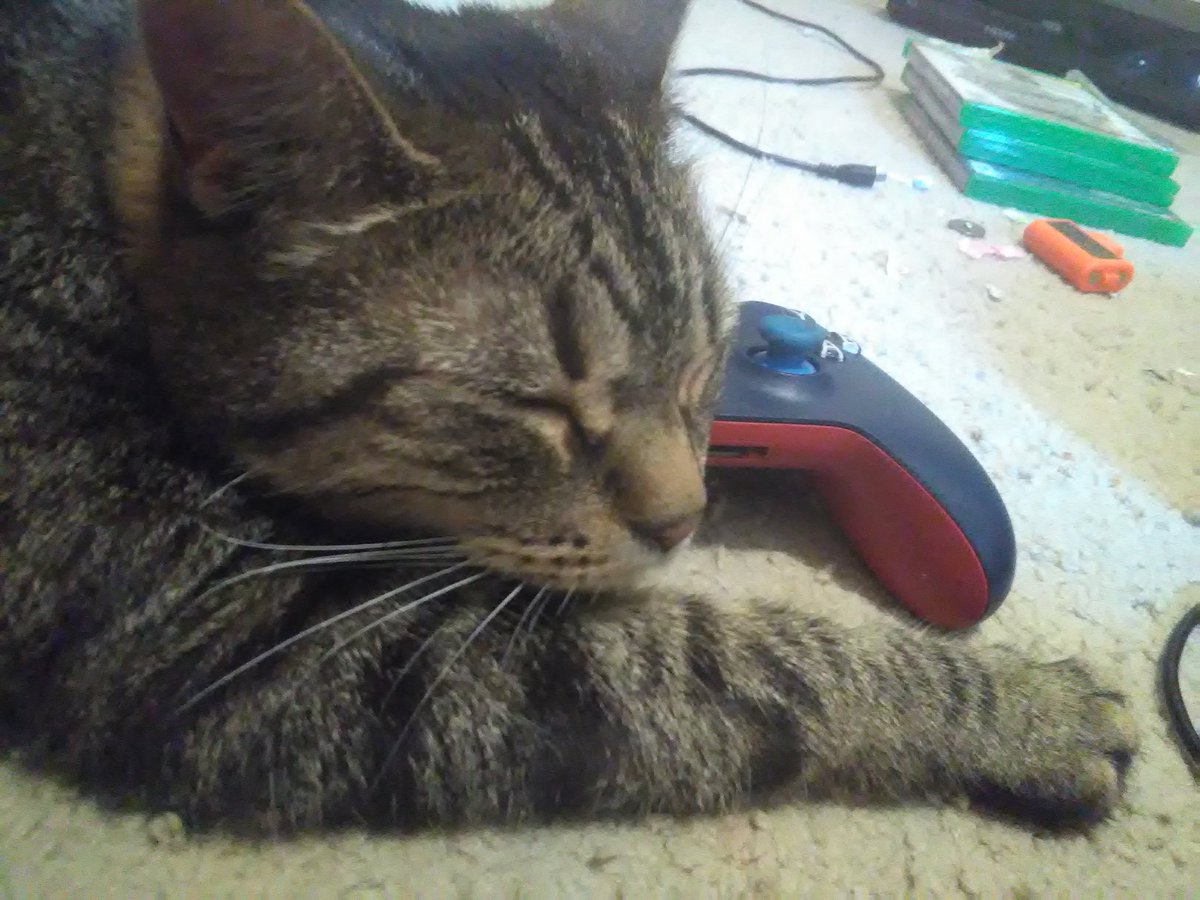 LegendOfAMyth's tweet image. Beware the new pro gamer on the scene.