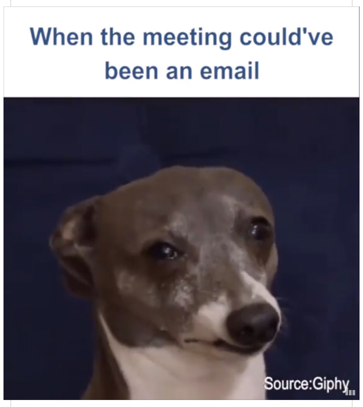 Teacher Problems When The Meeting Could Ve Been An Email Teacherproblems T Co 0nucdiao8a Twitter