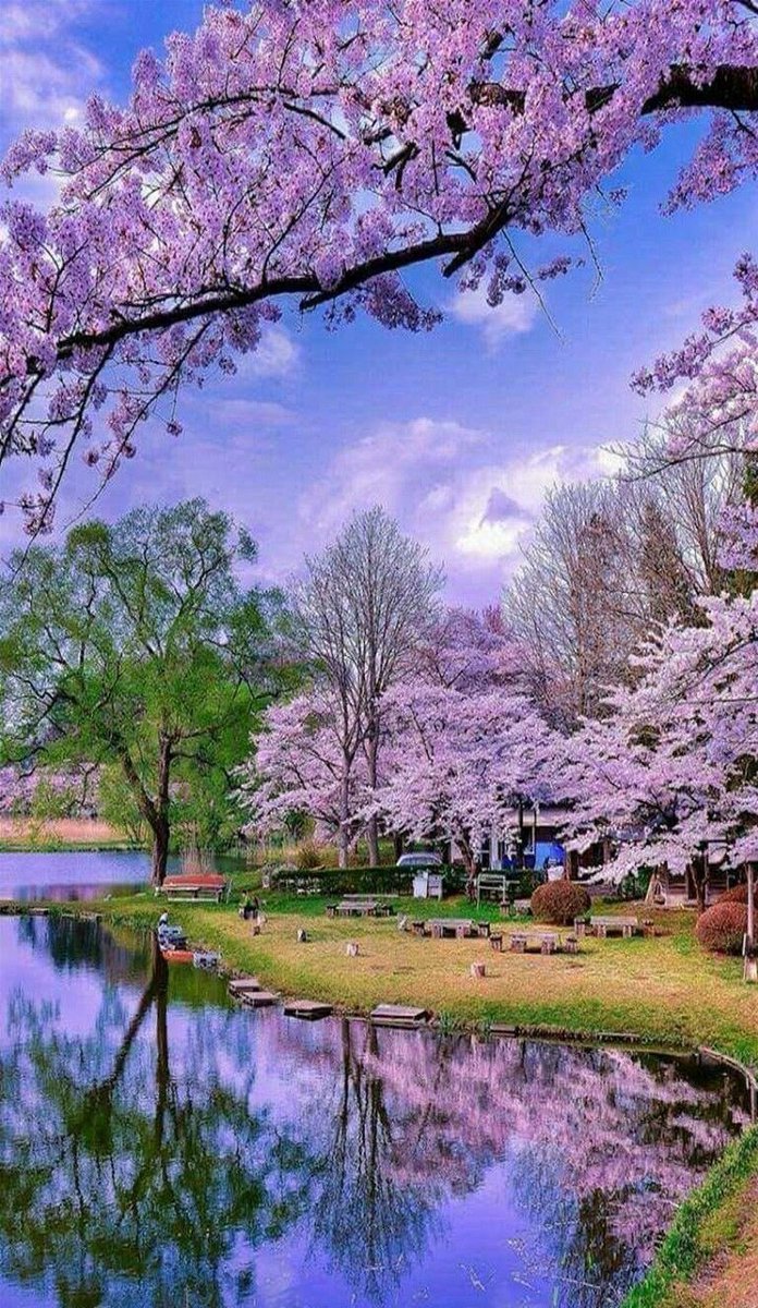 arasaucedo24's tweet image. ~Happy weekend everyone ... 🍀💜🍀

#weekendvibes