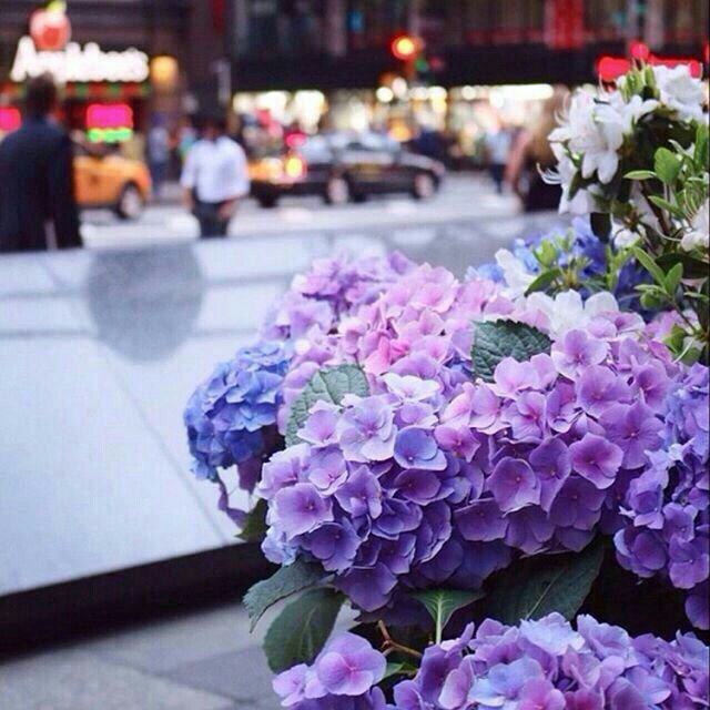 الدمعه اللي هلها جفن عيني
دمعة وفا دمعة غلا دمعة افراح
انا احمد الله عقب ماني حزيني
حزني تبدل تالي الوقت بافراح