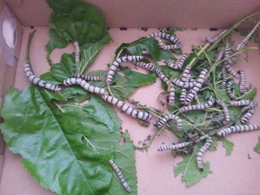 Mi infancia resumida en 4 imágenes.