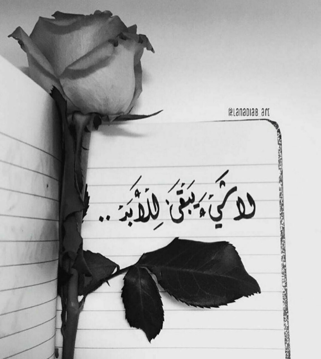 ء《♡》

ابكتبك في حروفي كل مو حيتك
في داخلي ساكنن ياكل  وجداني
،
ماغبت عني ولاتنسى ترى اوصيتك 
مهما يجور الزمن مايوم تنساني