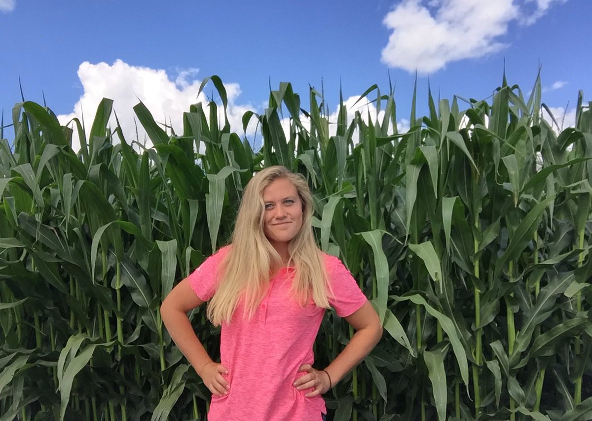 MorganHeidecker's tweet photo. Fantabulous corn crop just east of Watson, SK - 7 ft at August 2nd! Cobs are coming #DEKALBcorn #happycorn #happymorgan https://t.co/9t250ZcnW8