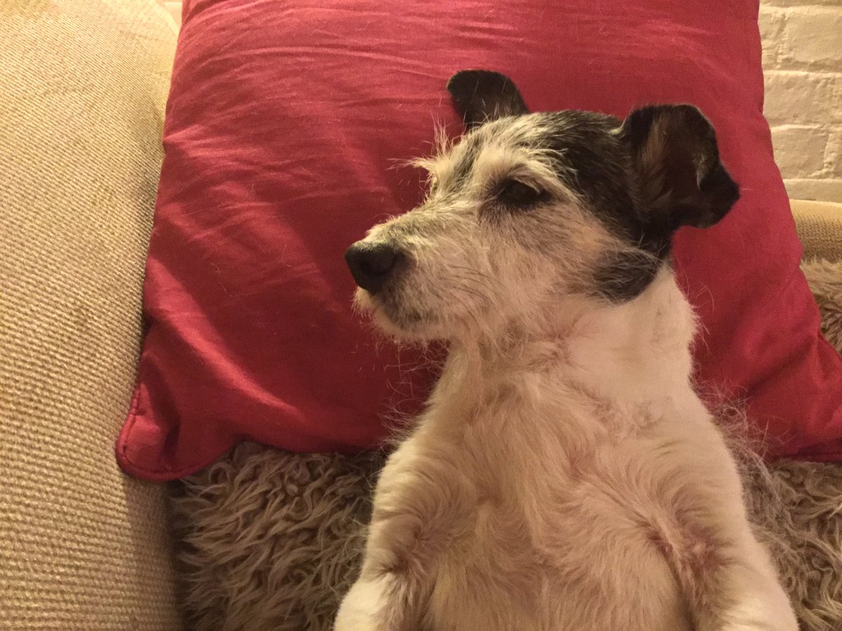 Killick Stores tweet media