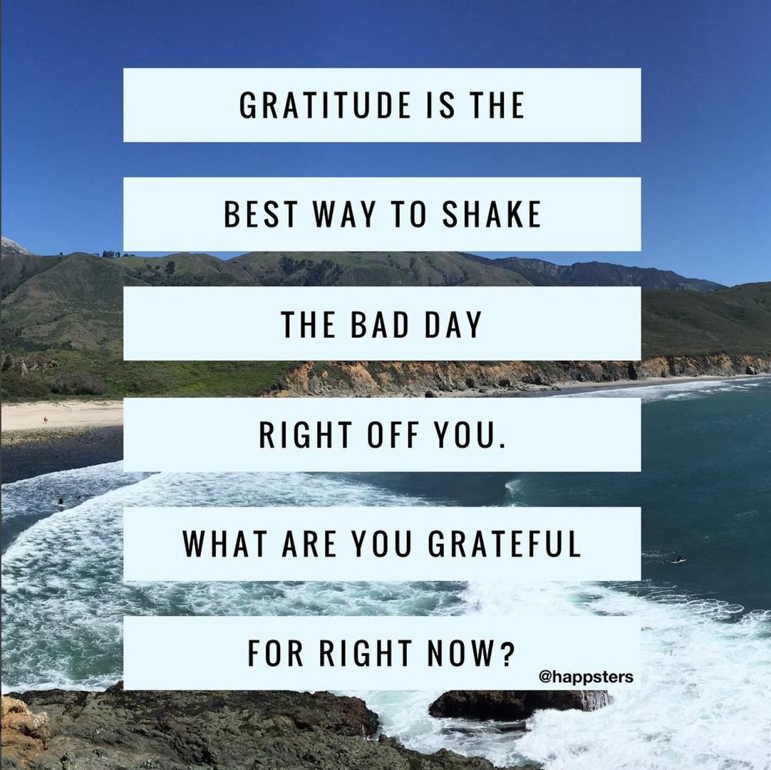 KindnessCoach_'s tweet photo. Don't let the bad ruin your day. Attract the positive and feel the gratitude in your life. What are you grateful for? #KindnessMatters https://t.co/dtBJjEpTF6