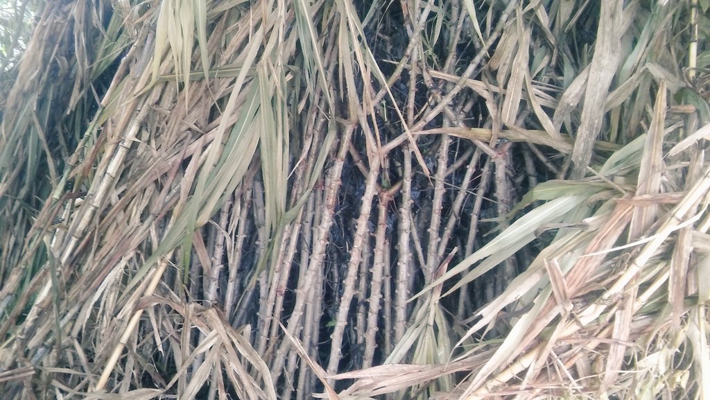 AF_INTA_CTES's tweet image. EFA Itú, acordamos próximas actividades p fortalecer la formación d chicos y chicas d la #AF @prohuerta #Profeder